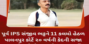 પૂર્વ IPS સંજીવ ભટ્ટને 11 કલમો હેઠળ પાલનપુર કોર્ટે ૨૦ વર્ષની કેદની સજા ફટકારીઅને બે લાખનો દંડ ફટકાર્યો