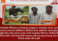 રાજકોટ જિલ્લાના જસદણ તાલુકાના વાજસૂર વાળા અને પ્રતાપ વાળાએ સોશિયલ મીડીયા ઉપર હથિયાર સાથે ફોટા મૂકી સીન સોટ કરવા પડયા ભારે