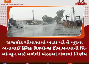 રાજકોટ ચોમાસામાં ખાડા પડે તે બૂરવા બનાવાઈ ક્વિક રિસ્પોન્સ ટીમ,મનપાની પ્રિ- મોન્સૂન માટે મળેલી બેઠકમાં લેવાયો નિર્ણય…
