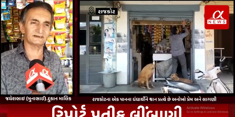 રાજકોટના એક પાનના ધંધાર્થીને શ્વાન પ્રત્યે છે અનોખો પ્રેમ અને લાગણી