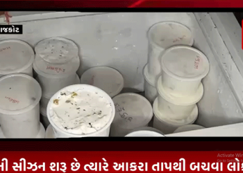 રાજકોટ મનપાની આરોગ્ય શાખા દ્વારા પાડવામાં આવ્યા દરોડા