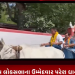 રાજકોટ કોંગ્રેસ લોકસભાના ઉમ્મેદવાર પરેશ ધાનાણી દ્વારા અનોખો પ્રચાર