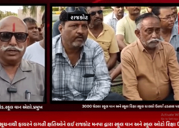 રાજકોટ માં 3000 જેટલા સ્કૂલ વાન અને સ્કૂલ રિક્ષા સ્કૂલ ચાલકો ઉતર્યા હડતાલ પર