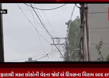 અસહ્ય બફારાથી ત્રસ્ત લોકોની વેદના જોઈ બે દિવસના વિરામ બાદ રાજકોટમાં ફરી મેઘરાજા કરી આશીર્વાદ રૂપી વર્ષા