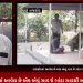 રાજકોટમાં આવેલ છે એક એવું ઝાડ જે ગાંડા ઝાડથી ઓળખાઈ છે,