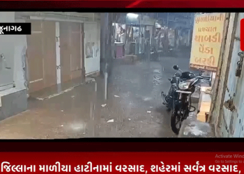 જૂનાગઢ જિલ્લાના માળીયા હાટીનામાં વરસાદ, શહેરમાં સર્વત્ર વરસાદ, માળીયાના રસ્તાઓ પર પાણી વહેતા થયા