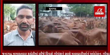 જૂનાગઢ મામલતદાર કચેરીમાં બીજે દિવસે ગૌવંશને સાથે માલધારીઓનું આંદોલન