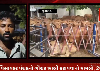 જૂનાગઢ વિસાવદર પંથકનો ગૌચર ખાલી કરાવવાનો મામલો, 20 માલધારીઓ ઉપર બે ફરિયાદ દાખલ કરાય