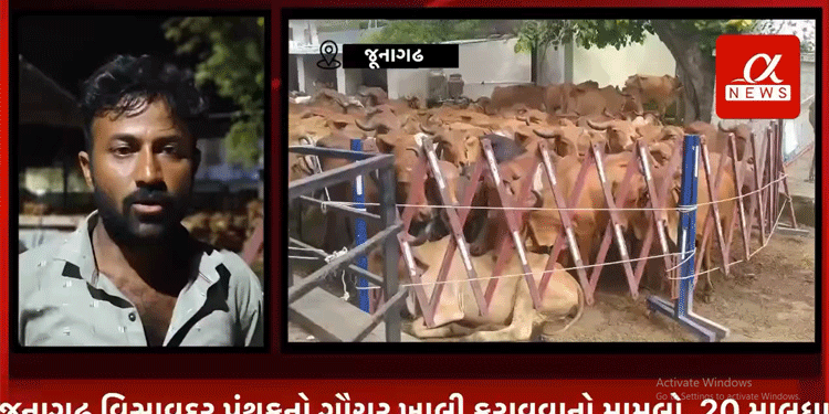 જૂનાગઢ વિસાવદર પંથકનો ગૌચર ખાલી કરાવવાનો મામલો, 20 માલધારીઓ ઉપર બે ફરિયાદ દાખલ કરાય