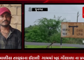જૂનાગઢ માળીયા તાલુકાના ઈટાળી ગામમાં ખુદ ગૌશાળા ના પ્રમુખે જ ગૌચર ની જમીન પર કર્યો કબજો