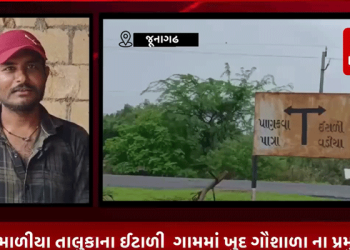 જૂનાગઢ માળીયા તાલુકાના ઈટાળી ગામમાં ખુદ ગૌશાળા ના પ્રમુખે જ ગૌચર ની જમીન પર કર્યો કબજો