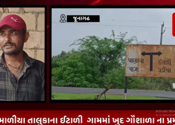 જૂનાગઢ માળીયા તાલુકાના ઈટાળી ગામમાં ખુદ ગૌશાળા ના પ્રમુખે જ ગૌચર ની જમીન પર કર્યો કબજો