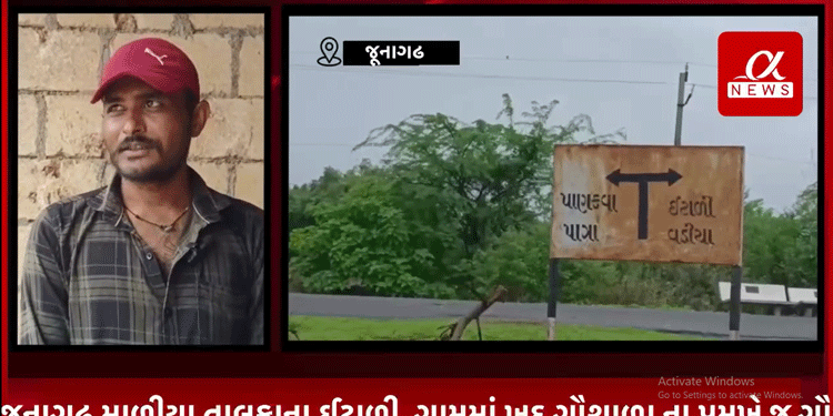 જૂનાગઢ માળીયા તાલુકાના ઈટાળી ગામમાં ખુદ ગૌશાળા ના પ્રમુખે જ ગૌચર ની જમીન પર કર્યો કબજો