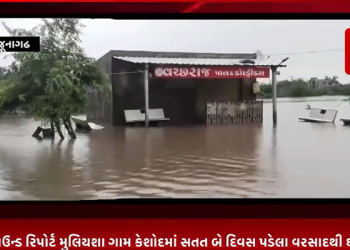 જૂનાગઢ ગ્રાઉન્ડ રિપોર્ટ મુલિયશા ગામ કેશોદમાં સતત બે દિવસ પડેલા વરસાદથી ઘેડ પંથક જળબંબાકાર, મુલિયશા,બાલાગામ,જોનપૂર ,મઢડા સહિતના ગામ બેટ માં ફેરવાયા, મુલિયાસા થી કડછ અને માધવપુર જવાનો રસ્તો ત્રણ દિવસથી બંધ, ગ્રામજનો ત્રણ દિવસ થી ઘર માં પુરાઈ રહેવા મજબૂર, હજારો હેકટર જમીનનું થયું ધોવાણ,ગ્રામજનો ની હાલત કફોડી.