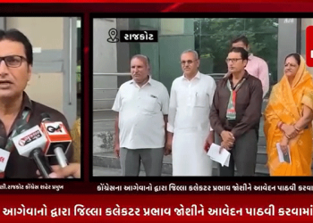 રાજકોટમાં વરસાદ બાદ હાઇવેના રસ્તાઓ બિસ્માર હાલતમાં થઈ ગયા હોવા છતાં તંત્ર દ્વારા આ મામલે કોઈ કામગીરી નથી કરવામાં આવી સાથે રાહદારીઓને હાલાકીનો સામનો કરવો પડે છે