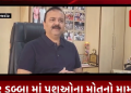 પ્રધાનમંત્રી નરેન્દ્રભાઈ મોદીના ઘરે ગાય અને રાજકોટના ઢોર ડબ્બાની ગાયમાં શું ફેર, રાજકોટના ઢોર ડબ્બામાં અનેક ગાયોના મોત થઇ રહ્યા છે.
