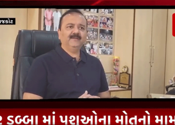 પ્રધાનમંત્રી નરેન્દ્રભાઈ મોદીના ઘરે ગાય અને રાજકોટના ઢોર ડબ્બાની ગાયમાં શું ફેર, રાજકોટના ઢોર ડબ્બામાં અનેક ગાયોના મોત થઇ રહ્યા છે.