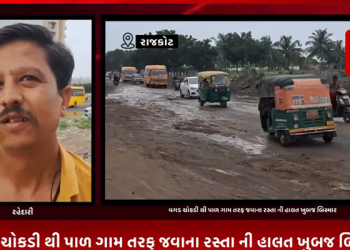વગડ ચોકડી થી પાળ ગામ તરફ જવાના રસ્તા ની હાલત ખુબજ બિસ્માર.