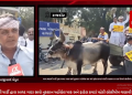 સમગ્ર ગુજરાતમાં પડેલ કમોસમી વરસાદથી ખેતીના શિયાળુ પાકમાં થયેલ નુકશાનને લઈ આજરોજ રાજકોટના જિલ્લા પંચાયત ચોક ખાતે આમ આદમી પાર્ટી દ્વારા બળદ ગાડા સાથે નુકશાન પહોંચેલ પાક અને ફાટેલ કપડાં પહેરી સરકારના રાહત પેકેજને લોલીપોપ ગણાવી કર્યો વિરોધ.