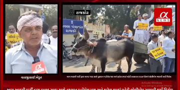 સમગ્ર ગુજરાતમાં પડેલ કમોસમી વરસાદથી ખેતીના શિયાળુ પાકમાં થયેલ નુકશાનને લઈ આજરોજ રાજકોટના જિલ્લા પંચાયત ચોક ખાતે આમ આદમી પાર્ટી દ્વારા બળદ ગાડા સાથે નુકશાન પહોંચેલ પાક અને ફાટેલ કપડાં પહેરી સરકારના રાહત પેકેજને લોલીપોપ ગણાવી કર્યો વિરોધ.