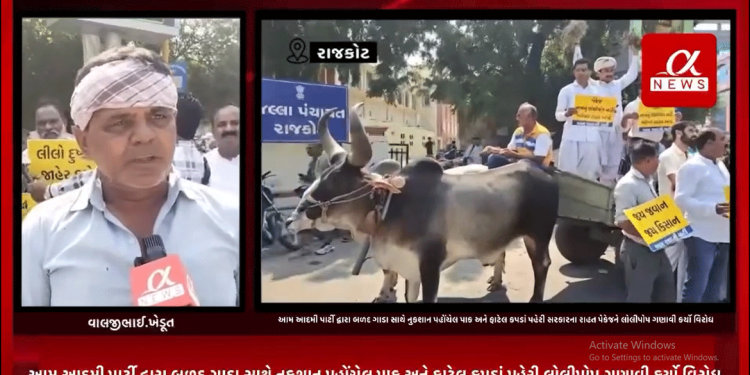 સમગ્ર ગુજરાતમાં પડેલ કમોસમી વરસાદથી ખેતીના શિયાળુ પાકમાં થયેલ નુકશાનને લઈ આજરોજ રાજકોટના જિલ્લા પંચાયત ચોક ખાતે આમ આદમી પાર્ટી દ્વારા બળદ ગાડા સાથે નુકશાન પહોંચેલ પાક અને ફાટેલ કપડાં પહેરી સરકારના રાહત પેકેજને લોલીપોપ ગણાવી કર્યો વિરોધ.
