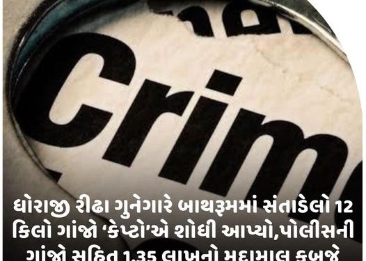 ધોરાજી રીઢા ગુનેગારે બાથરૂમમાં સંતાડેલો 12 કિલો ગાંજો ‘કેપ્ટો’એ શોધી આપ્યો,પોલીસની ગાંજો સહિત 1.35 લાખનો મુદ્દામાલ કબજે લઇ કાર્યવાહી