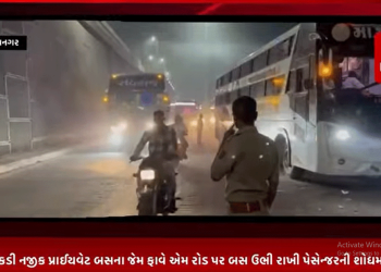 ભાવનગર ના પ્રવેશ દ્વાર ગણાતા એવા નારી ચોકડી નજીક પ્રાઈયવેટ બસ ના જેમ ફાવે એમ રોડ પર બસ ઉભી રાખી પેસેન્જર ની શોધ માં ટ્રાફિક થતો હોય એ ટ્રાફિક માં બે એમ્બ્યુલન્સ ફસાઈ હોમગાર્ડ જવાન ની હાજરી માં બનતા વિચારવા જેવું છે