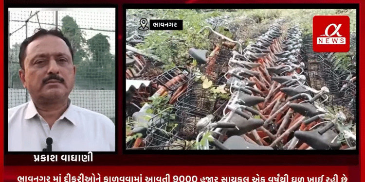 ભાવનગર માં દીકરીઓને ફાળવવામાં આવતી 9000 હજાર સાયકલ એક વર્ષથી ઘૂળ ખાઈ રહી છેરીપોર્ટ:- બિરેન ગોસલિયા ભાવનગર