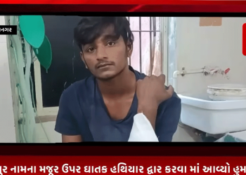 ભાવનગર માં ગુંડા તત્વો બન્યા બેફામ* મયુર નામના મજૂર ઉપર ઘાતક હથિયાર દ્વાર કરવા માં આવ્યો હુમલો ઘોઘરોડ પોલિસ એ ફરિયાદ લખી આગળ ની કાર્યવાહી હાથ ધરી