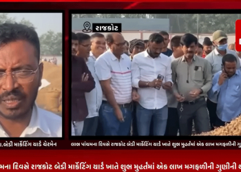 લાભ પાંચમના દિવસે રાજકોટ બેડી માર્કેટિંગ યાર્ડ ખાતે શુભ મુહર્તમાં એક લાખ મગફળીની ગુણીની થઈ આવક, યાર્ડના વેપારીઓએ શુભ મુહુર્તમાં કર્યા સોદા.
