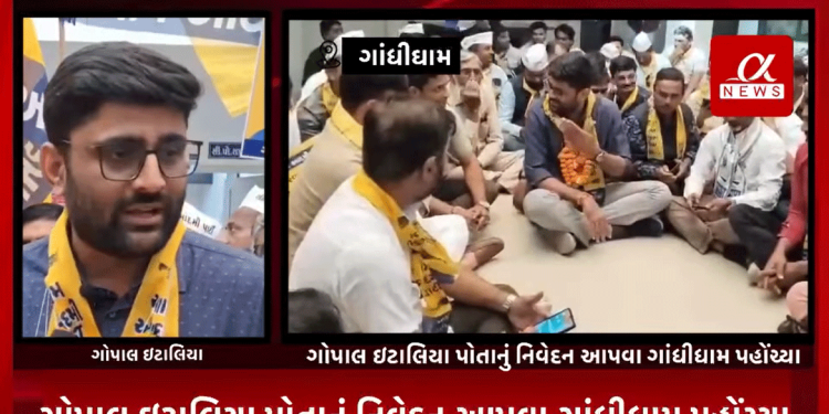 કચ્છ નકલી ઇડી કેસમાં આમ આદમી પાર્ટીના નેતા ગોપાલ ઇટાલિયા પોતાનું નિવેદન આપવા ગાંધીધામ પહોંચ્યા, ગાંધીધામ એ ડિવિઝન પોલીસ સ્ટેશન પર આપના કાર્યકરોએ ઘેરાવ કર્યો, પૂર્વ કચ્છ એસપી સાગર બાગમારએ મારા પર અને આમ આદમી પાર્ટી પર કરેલા આરોપ ખોટા, પૂર્વ કચ્છ એસપી બીજેપીના એજન્ટ બની કામ કરી રહ્યા છે.