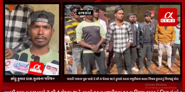 રાજકોટના જિલ્લાના શાપર નજીક આવેલ પારડી ગામના પુલ પાસે 3 થી 4 જેટલા શ્વાને હુમલો કરતા મજૂરીકામ કરતા વિજય કુમારનું નિપજ્યું મોત.