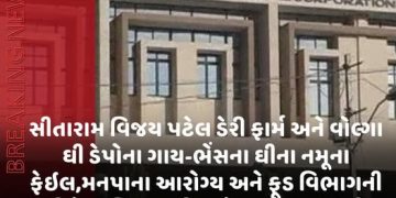સીતારામ વિજય પટેલ ડેરી ફાર્મ અને વોલ્ગા ઘી ડેપોના ગાય-ભેંસના ઘીના નમૂના ફેઈલ,મનપાના આરોગ્ય અને ફૂડ વિભાગની ટીમે વાણિયાવાડી અને કૃષ્ણનગરમાંથી નમૂના લીધા હતા