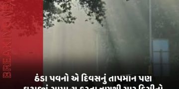 ઠંડા પવનો એ દિવસનું તાપમાન પણ ઘટાડયું, સામાન્ય કરતા ત્રણથી ચાર ડિગ્રીનો ઘટાડો થયો