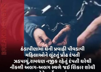ઠંડાપીણામાં ઘેની પ્રવાહી પીવડાવી મહિલાઓને લૂંટતું પ્રૌઢ દંપતી ઝડપાયું,રામધણ નજીક રહેતું દંપતી ઘરેથી નીકળી અલગ-અલગ સ્થળે જઈ શિકાર શોધી તેને ટાર્ગેટ કરતું