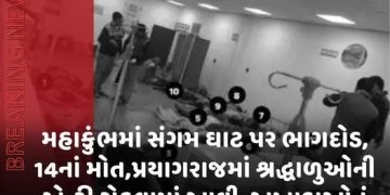 મહાકુંભમાં સંગમ ઘાટ પર ભાગદોડ, 14નાં મોત,પ્રયાગરાજમાં શ્રદ્ધાળુઓની એન્ટ્રી રોકવામાં આવી, અખાડાઓનું અમૃત સ્નાન રદ,મોદી-શાહે યોગી સાથે વાત કરી.