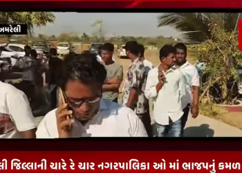 અમરેલી જિલ્લાની ચારે રે ચાર નગરપાલિકા ઓ માં ભાજપનું કમળ ખીલ્યું, રાજુલા. જાફરાબાદ, લાઠી અને ચલાલા મા ભાજપ ની ભવ્ય જીત, ઢોલ નગારા સાથે વિજેતા ઉમેદવારોનું વિજય સરઘસ નીકળ્યું હતું