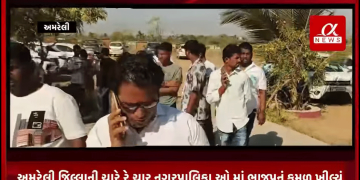 અમરેલી જિલ્લાની ચારે રે ચાર નગરપાલિકા ઓ માં ભાજપનું કમળ ખીલ્યું, રાજુલા. જાફરાબાદ, લાઠી અને ચલાલા મા ભાજપ ની ભવ્ય જીત, ઢોલ નગારા સાથે વિજેતા ઉમેદવારોનું વિજય સરઘસ નીકળ્યું હતું