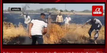 ફરી એક વાર વીજ કંપનીને હિસાબે જગતના તાતાને માથે ઓઢી રોવાનો આવ્યો વારો,રાજકોટ જિલ્લાના ઉપલેટા તાલુકાના હરિયાસણ ગામે વીજ વાયરામાં સોટ સર્કિટ થયા ખેડૂતે 10 વીઘામાં વાવેલ ઘઉં થયા બળીને ખાખ