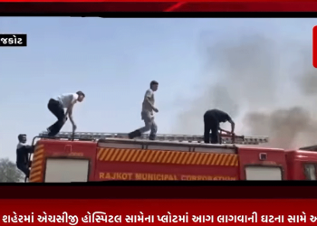 રાજકોટ શહેરમાં એચસીજી હોસ્પિટલ સામેના પ્લોટમાં આગ લાગવાની ઘટના સામે આવી હતી , ફાયર વિભાગ દ્વારા આગ બુઝાવવામાં આવી હતી.