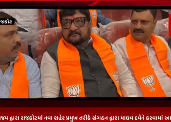 રાજકોટ ભાજપ દ્વારા રાજકોટમાં નવા શહેર પ્રમુખ તરીકે સંગઠન દ્વારા માધવ દવેને કરવામાં આવ્યા નિયુક્ત