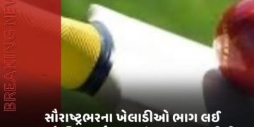 સૌરાષ્ટ્રભરના ખેલાડીઓ ભાગ લઈ શકશે,વિશ્વકર્મા યુવક મંડળ દ્વારા 10મીથી ક્રિકેટ ટૂર્નામેન્ટ શરૂ