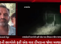 રાજકોટની ભાગોળે ફરી એક વાર દીપડાના જોવા મળ્યા સગળ,આજી નદીના કાંઠે આવેલ મનહર પૂર ગામની સીમમાં ખેતરમાં પિયત કરી રહે ખેડૂતોએ દીપડો દેખાયા આપી કબૂલાત,ગ્રામ્ય વિસ્તારમાં દીપડૉ હોવાની વાત મળતા વન વિભાગ દ્વાર દીપડાને પકડવા વીડી વિસ્તારમાં મૂક્યા પાંજરા.