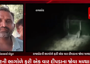 રાજકોટની ભાગોળે ફરી એક વાર દીપડાના જોવા મળ્યા સગળ,આજી નદીના કાંઠે આવેલ મનહર પૂર ગામની સીમમાં ખેતરમાં પિયત કરી રહે ખેડૂતોએ દીપડો દેખાયા આપી કબૂલાત,ગ્રામ્ય વિસ્તારમાં દીપડૉ હોવાની વાત મળતા વન વિભાગ દ્વાર દીપડાને પકડવા વીડી વિસ્તારમાં મૂક્યા પાંજરા.