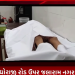 જેતપુરના ધોરાજી રોડ ઉપર જલારામ નગર નો બનાવ