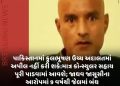પાકિસ્તાનમાં કુલભૂષણ ઉચ્ચ અદાલતમાં અપીલ નહીં કરી શકે:માત્ર કોન્સ્યુલર સહાય પૂરી પાડવામાં આવશે; જાધવ જાસૂસીના આરોપમાં 9 વર્ષથી જેલમાં બંધ