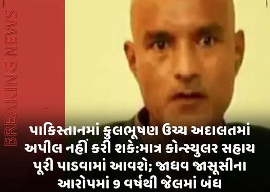 પાકિસ્તાનમાં કુલભૂષણ ઉચ્ચ અદાલતમાં અપીલ નહીં કરી શકે:માત્ર કોન્સ્યુલર સહાય પૂરી પાડવામાં આવશે; જાધવ જાસૂસીના આરોપમાં 9 વર્ષથી જેલમાં બંધ