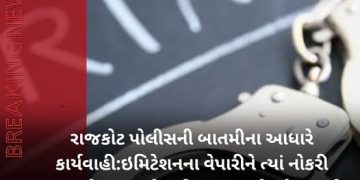 રાજકોટ પોલીસની બાતમીના આધારે કાર્યવાહી:ઇમિટેશનના વેપારીને ત્યાં નોકરી કરતાં એક શખ્સને પાકિસ્તાન સાથે કનેક્શનનીશંકા: બે મોબાઇલ જપ્ત